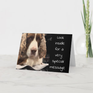 SERIEUZE HOND ZEGT "KIJK NAAR BINNEN" VERJAARDAG W KAART