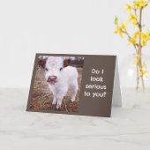 SERIEUZE/SCHATTIGEE KOE ZEGT "HAPPY BIRTHDAY" KAART (Gele Bloem)