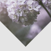 Sering Getinte Ivoor Moody Hortensia Decoupage Tissuepapier (Detail)
