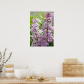 Sering P5390 Afdruk Poster (Keuken)