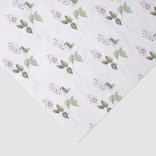 Sering Tissuepapier (Detail)