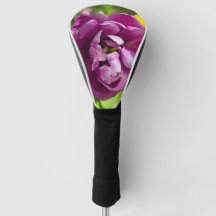 Sering tulpen op een zonnige dag
