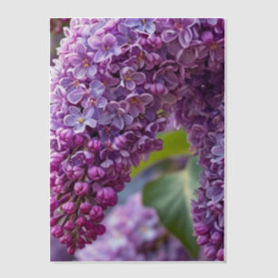 Sering Vellum Overlay Uitnodigingen