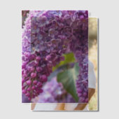 Sering Vellum Overlay Uitnodigingen (Offset (Koppel))