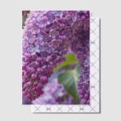 Sering Vellum Overlay Uitnodigingen (Offset (Uitnodiging))