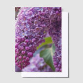 Sering Vellum Overlay Uitnodigingen (Offset)