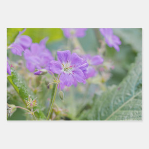 Sering Wilde Bloem Foto Geranium Botanische Bloem Inpakpapier Vel
