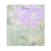 Sering Wilde Bloem Foto Geranium Botanische Bloem