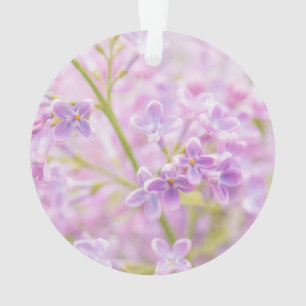 Seringebloesem Mist Ornament