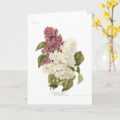 Seringen Kaart (Gele Bloem)