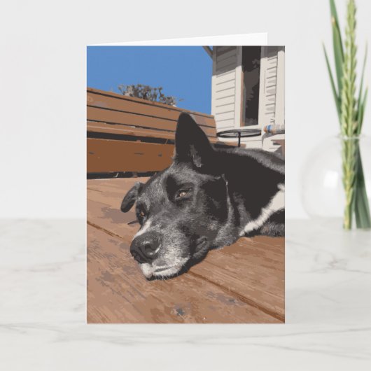 Serious Dog Husky Lab Vastleggen Zwart en Bruin Kaart (Voorkant)