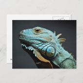 Serious Iguana Portrait Briefkaart (Voorkant / Achterkant)