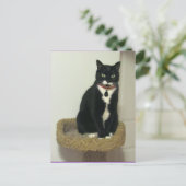 Serious Lucy Briefkaart (Staand voorkant)