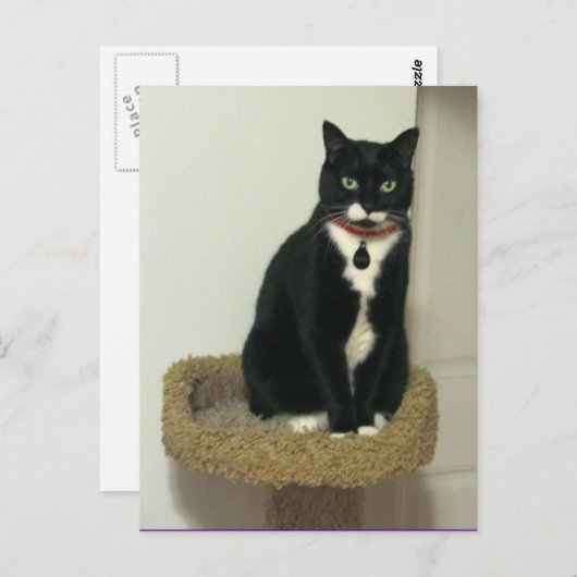 Serious Lucy Briefkaart (Voorkant / Achterkant)