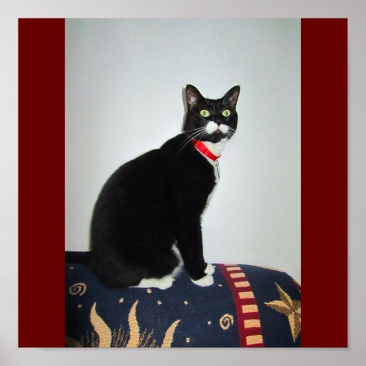 Serious Lucy Poster (Voorkant)