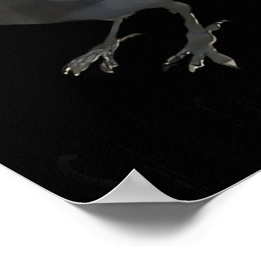 Seriously Funny Crow Sarcastic Quote  Poster (Hoek)