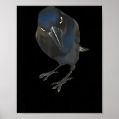 Seriously Funny Crow Sarcastic Quote  Poster (Voorkant)