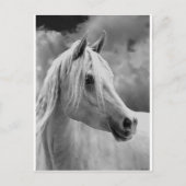 Serne Composition Briefkaart (Voorkant)