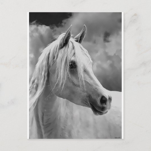 Serne Composition Briefkaart (Voorkant)