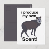 Serows Dier I Produce Mijn Eigen Geur Grappige Cit