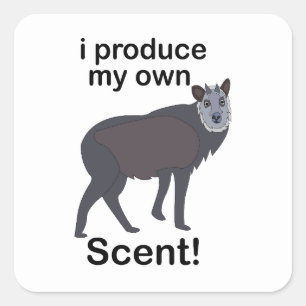 Serows Dier I Produce Mijn Eigen Geur Grappige Cit Vierkante Sticker