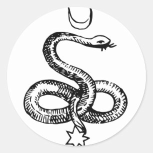 Serpent - Pagan Symbols Ronde Sticker