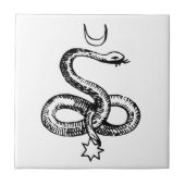 Serpent - Pagan Symbols Tegeltje (Voorkant)