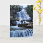 Serra DA Estrela | Natuurlijke Parque, Portugal Kaart (Gele Bloem)