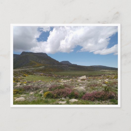 Serra da Estrela (Portugal) Briefkaart (Voorkant)