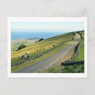 Serra do Cume: Terceira Briefkaart