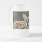 serval 015 matglas bierpul (Voorkant links)