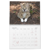 serval 017 Serval Kalender (Jan 2027)