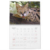 serval 017 Serval Kalender (Mar 2027)