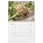 serval 017 Serval Kalender (Feb 2026)