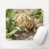 serval 019-exemplaar muismat (Met muis)