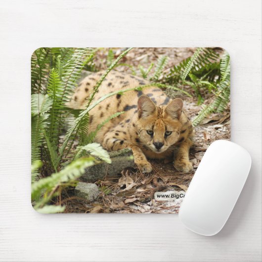 serval 019-exemplaar muismat (Met muis)