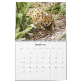 serval 025 Serval Kalender (Mar 2027)