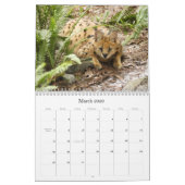 serval 025 Serval Kalender (Mar 2026)