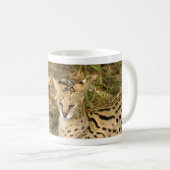 serval 033 koffiemok (Voorkant rechts)