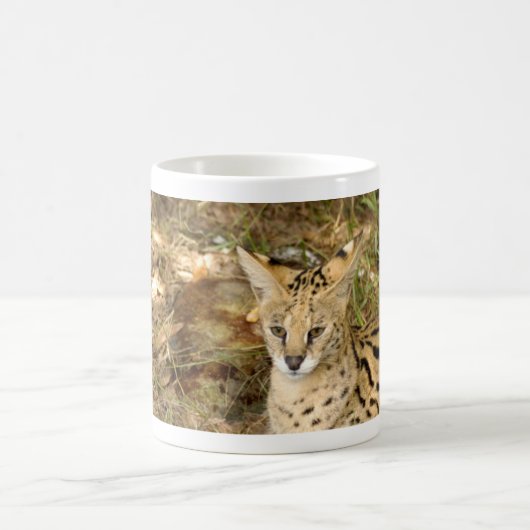 serval 033 koffiemok (Center)