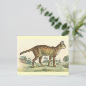 Serval Briefkaart (Staand voorkant)