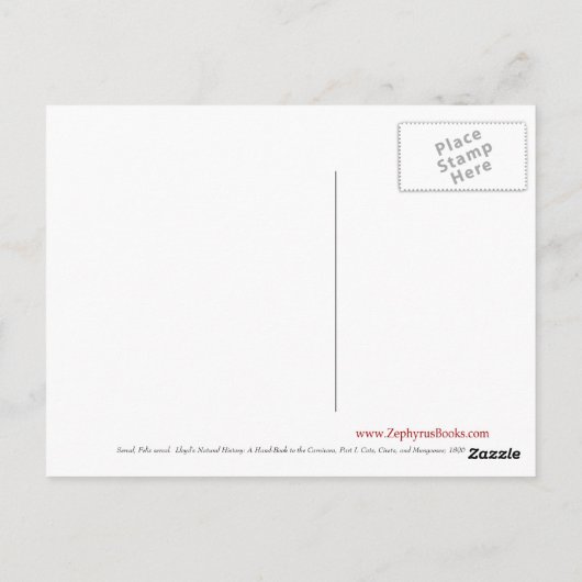 Serval Briefkaart (Achterkant)