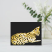 Serval-Briefkaart Briefkaart (Staand voorkant)