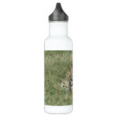 Serval cat roestvrijstalen waterfles (Links)