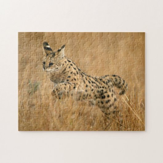 Serval (gemeente) Jumping Legpuzzel (Horizontaal)