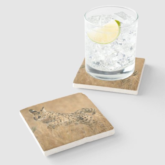Serval (gemeente) Jumping Stenen Onderzetter (Zijkant)
