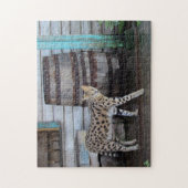 Serval - Grote kat puzzel Legpuzzel (Verticaal)