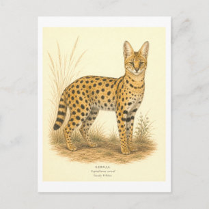 Serval Illustratie in Vintage Stijl Briefkaart