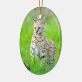 Serval in het gras keramisch ornament (Links)