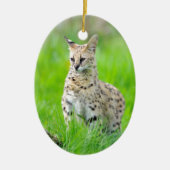 Serval in het gras keramisch ornament (Voorkant)